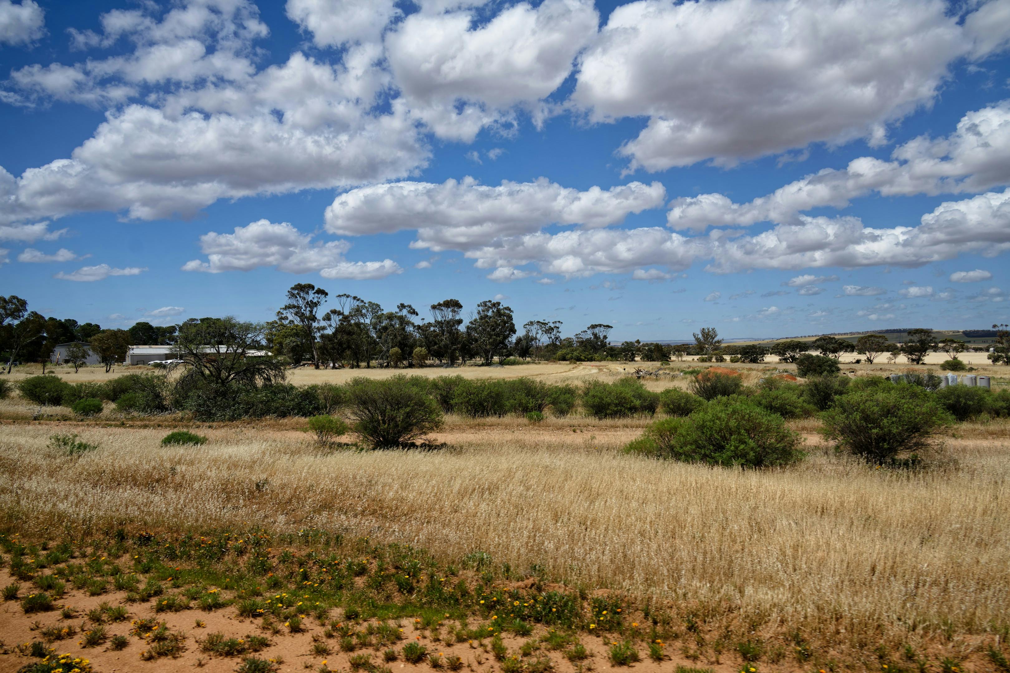 Agricultural landscape showing sustainable farming practices