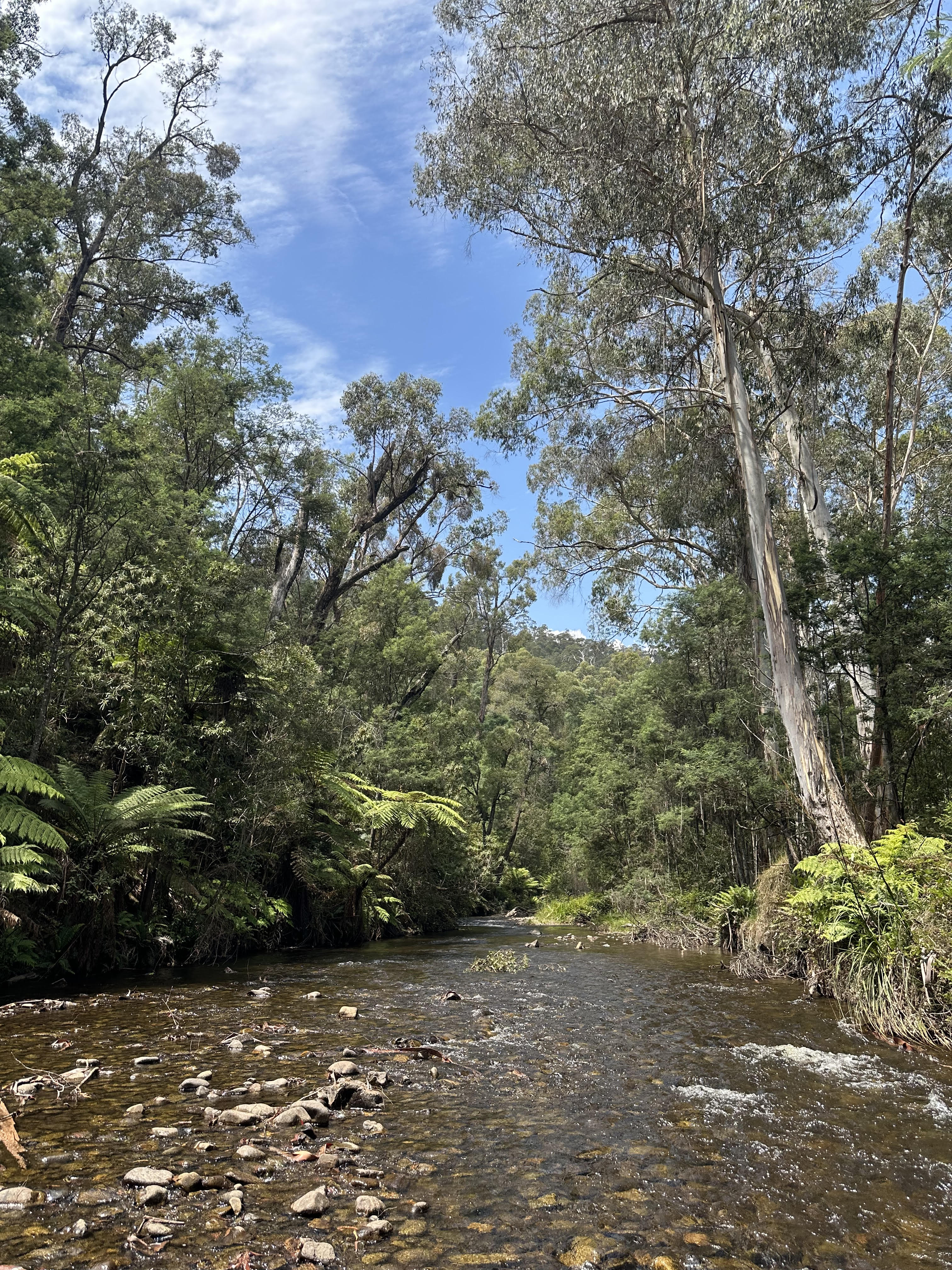Water management and monitoring systems